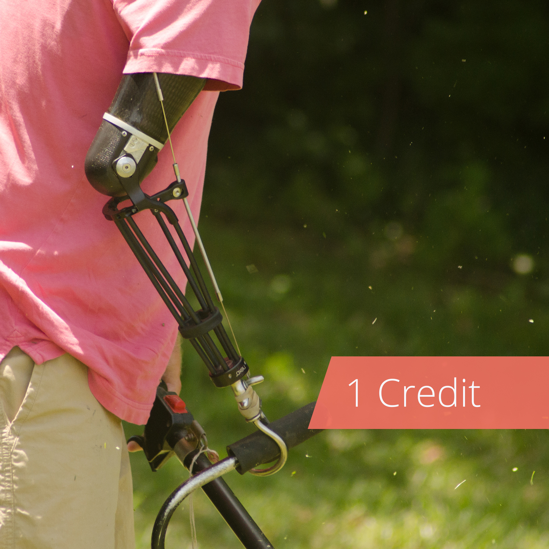 1 Credit